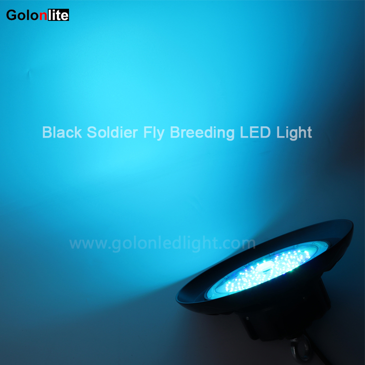 100W Black Soldier Fly Breeding LED Light
