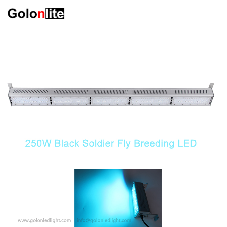 250W LED Light Black Soldier Fly Mating