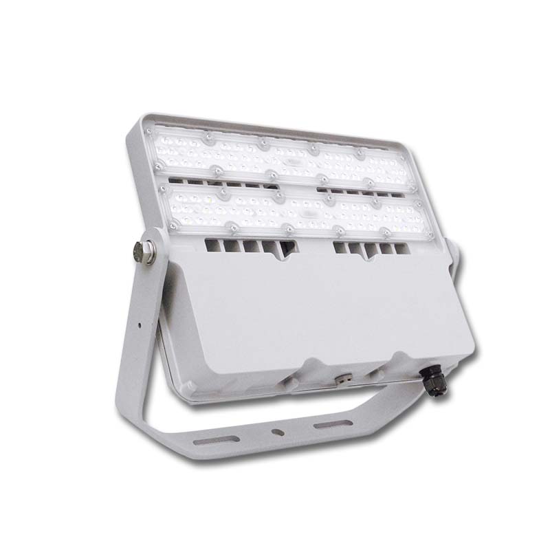 100W Module LED Flood Light