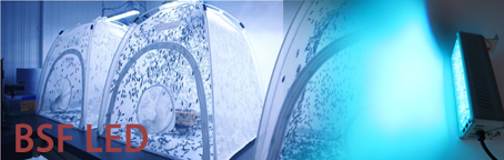 Black Soldier Fly Breeding LED Light