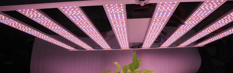 led grow light bars